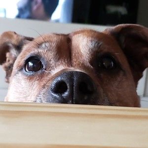 Meet your Posher, April